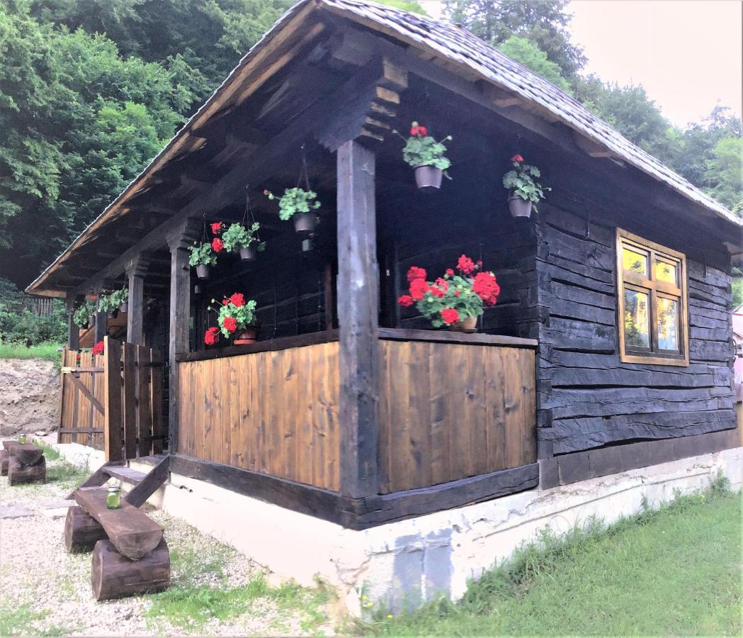 Casuta Din Valea Regilor Villa Gradistea de Munte Exterior foto
