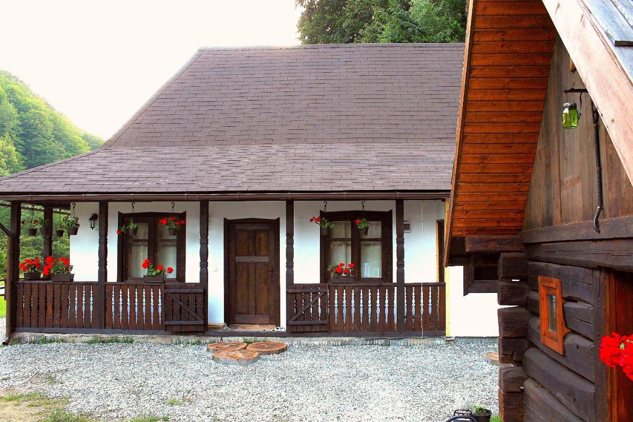 Casuta Din Valea Regilor Villa Gradistea de Munte Exterior foto