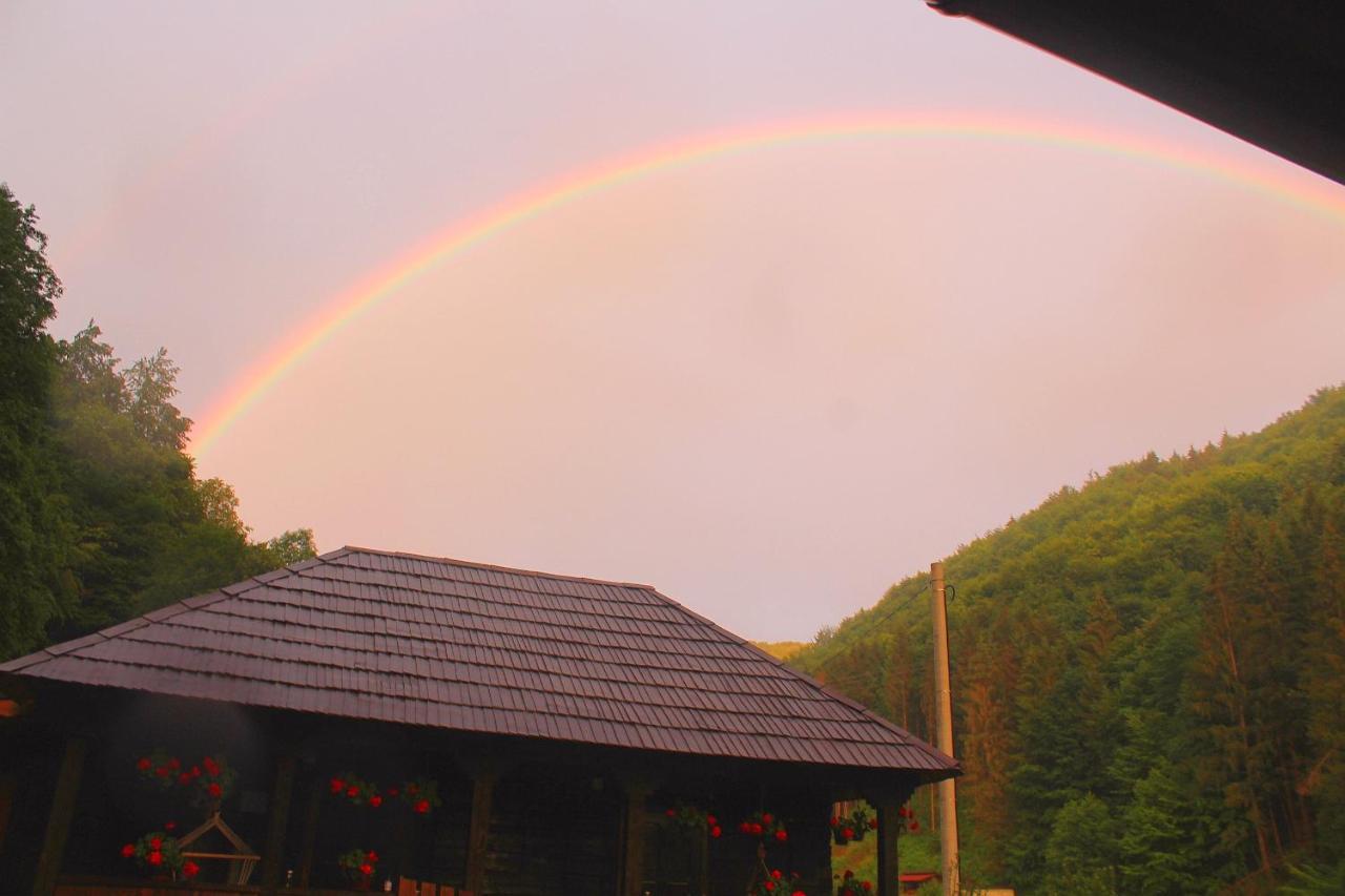 Casuta Din Valea Regilor Villa Gradistea de Munte Exterior foto