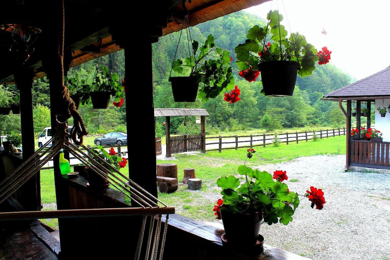 Casuta Din Valea Regilor Villa Gradistea de Munte Exterior foto