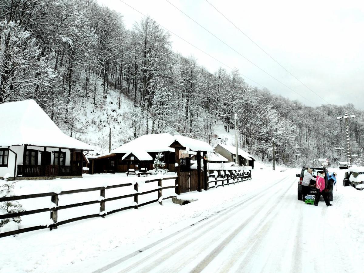 Casuta Din Valea Regilor Villa Gradistea de Munte Exterior foto