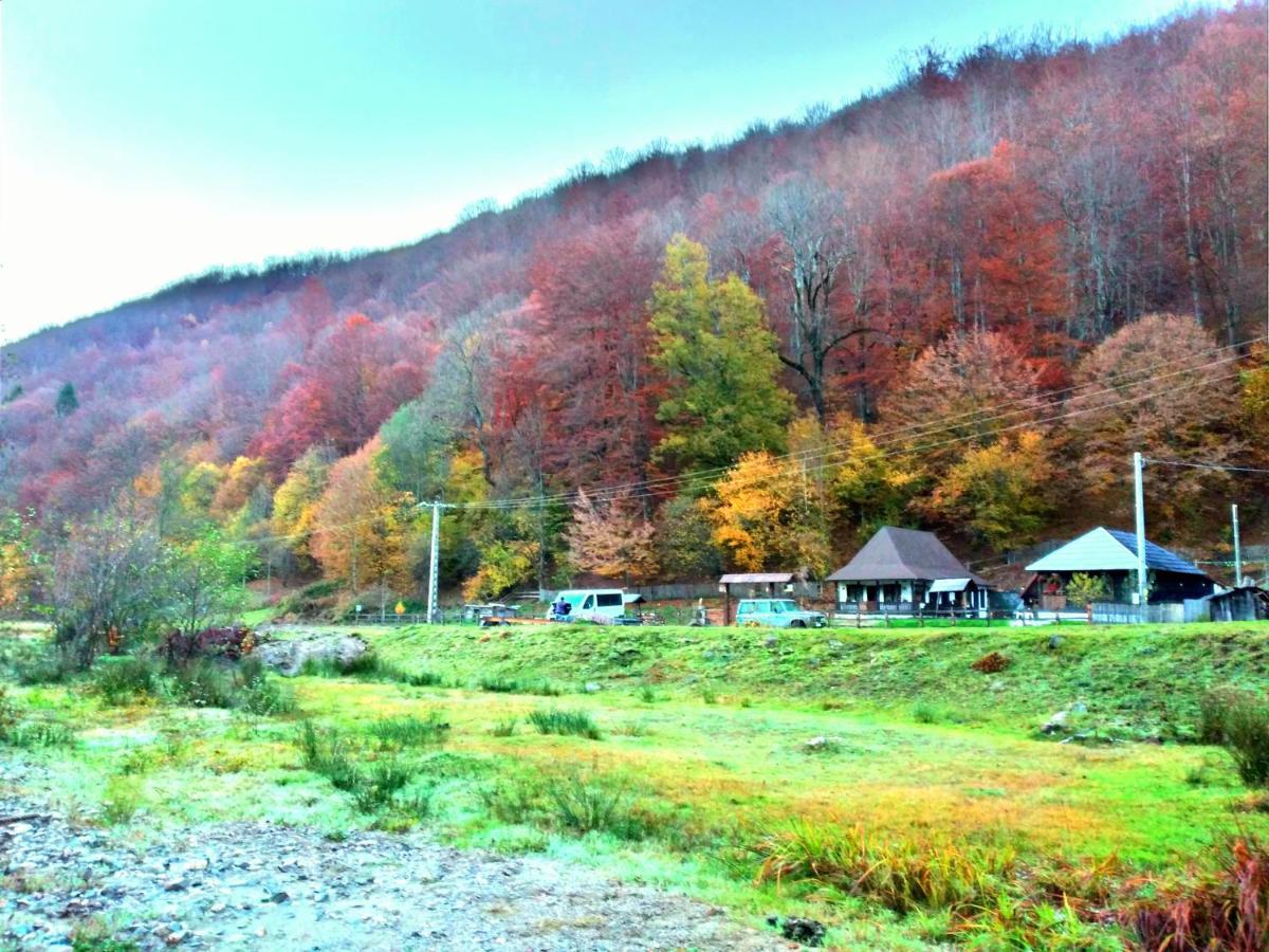 Casuta Din Valea Regilor Villa Gradistea de Munte Exterior foto
