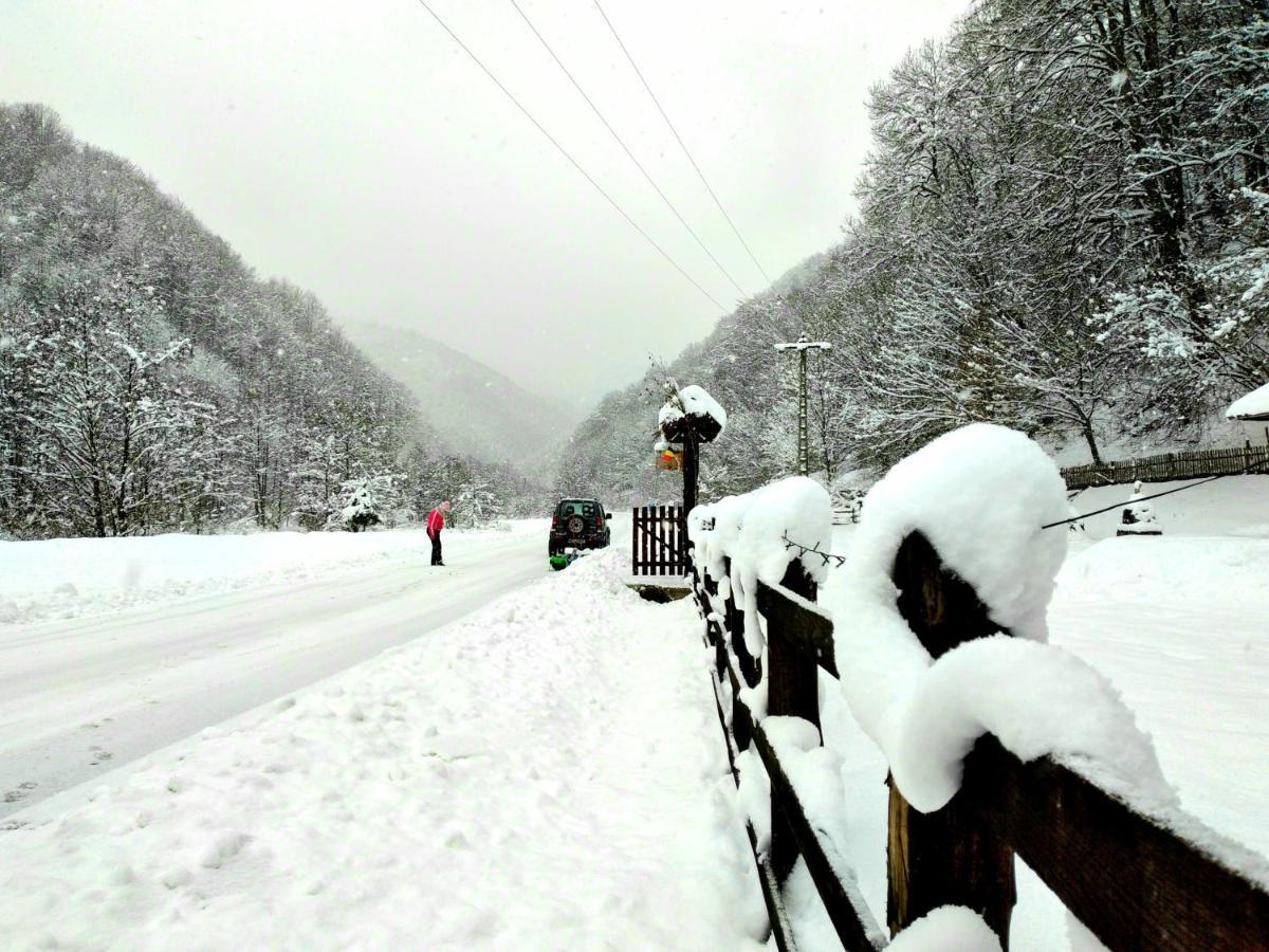 Casuta Din Valea Regilor Villa Gradistea de Munte Exterior foto