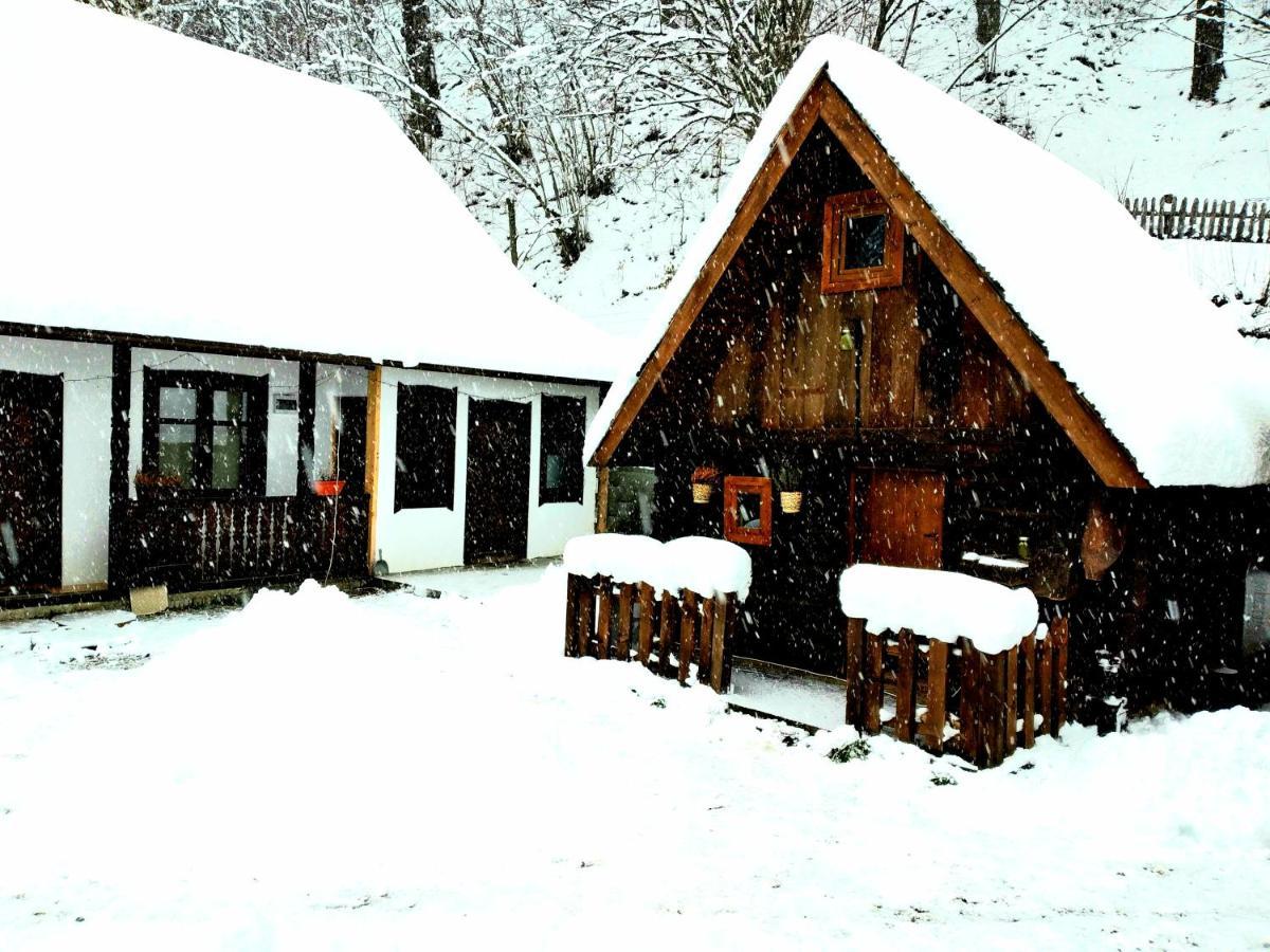 Casuta Din Valea Regilor Villa Gradistea de Munte Exterior foto