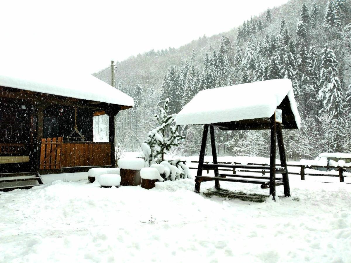 Casuta Din Valea Regilor Villa Gradistea de Munte Exterior foto