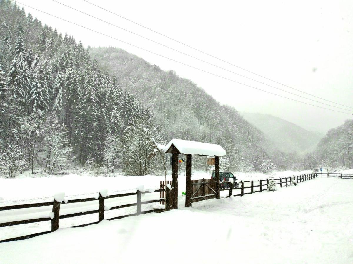 Casuta Din Valea Regilor Villa Gradistea de Munte Exterior foto
