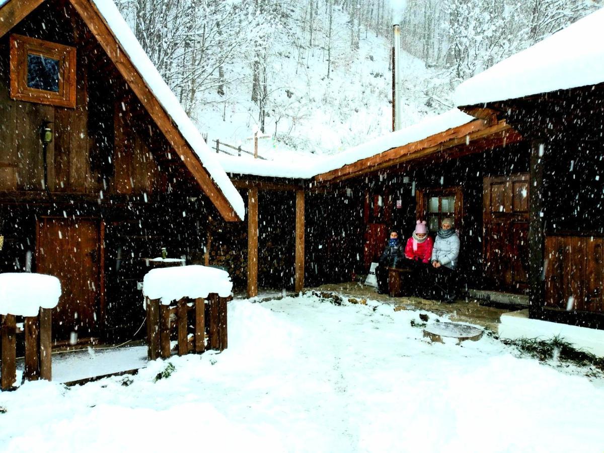 Casuta Din Valea Regilor Villa Gradistea de Munte Exterior foto